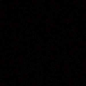 Meet your Posher, Caitlyn